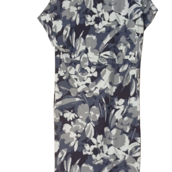 Chico's - NWT, Shift Dress W/ Short Sleeves, V-Neck, Blue Floral Design, Size 0 - Picture 2 of 12